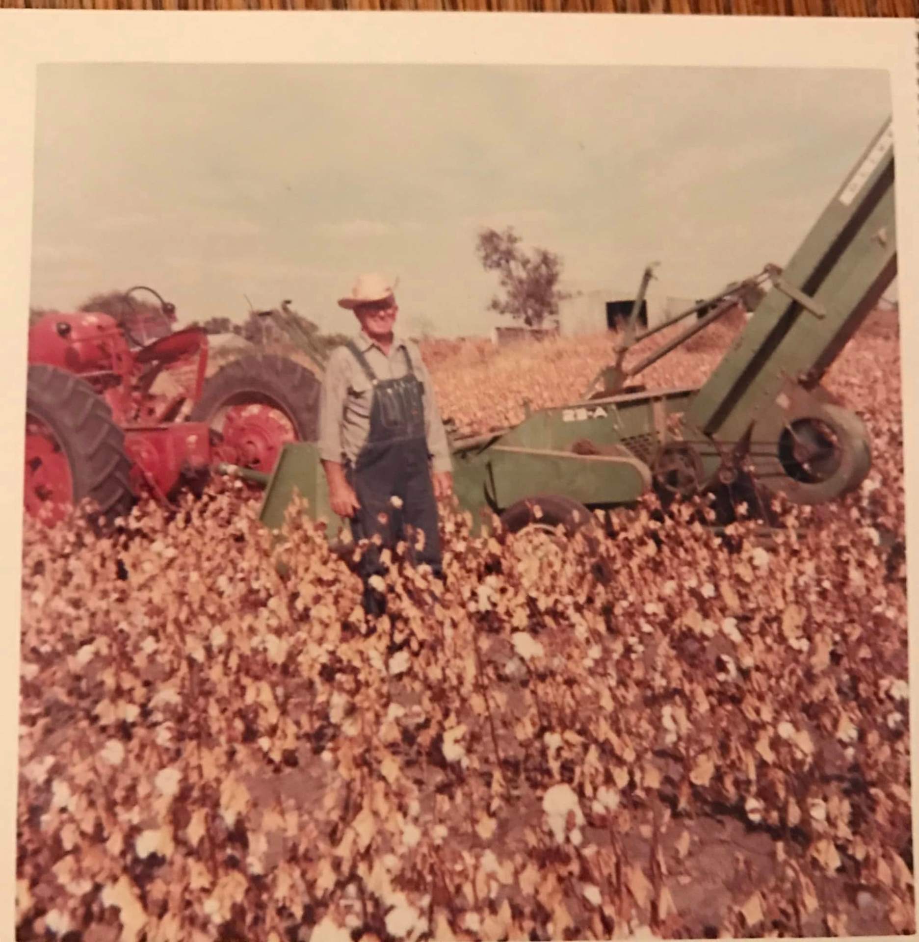 McClendon family heritage