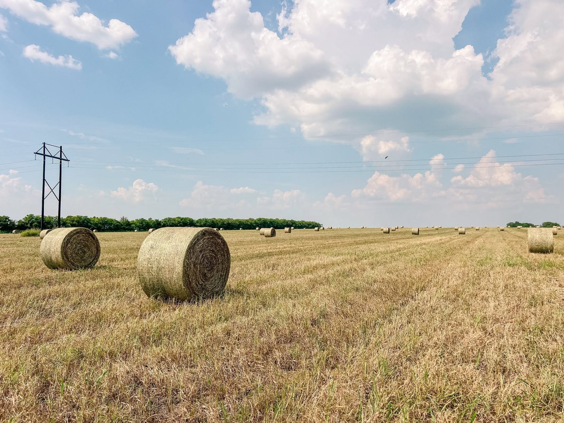 Custom Hay Services 