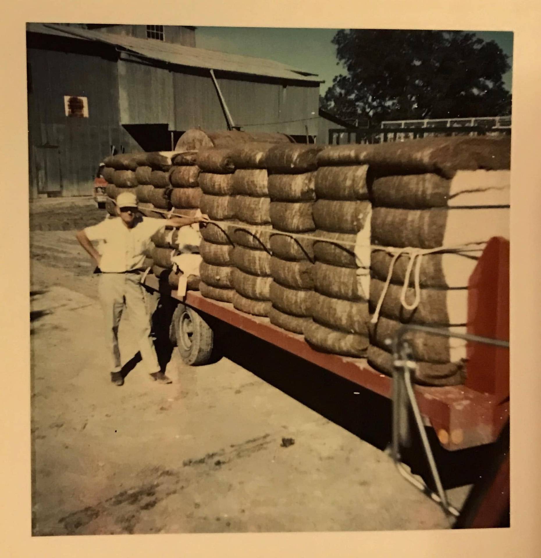 McClendon family heritage
